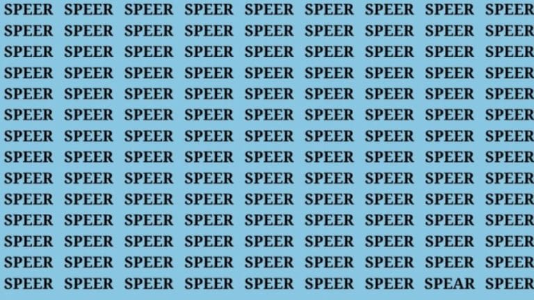 Brain Teaser: If You Have Hawk Eyes Find The Word Spear In 15 Secs