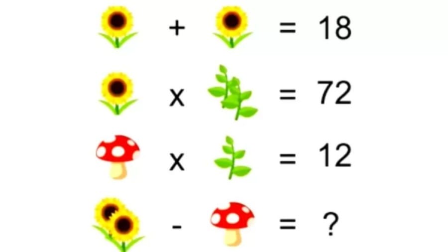 Brain Teaser: Can You Solve This Plant Math Puzzle