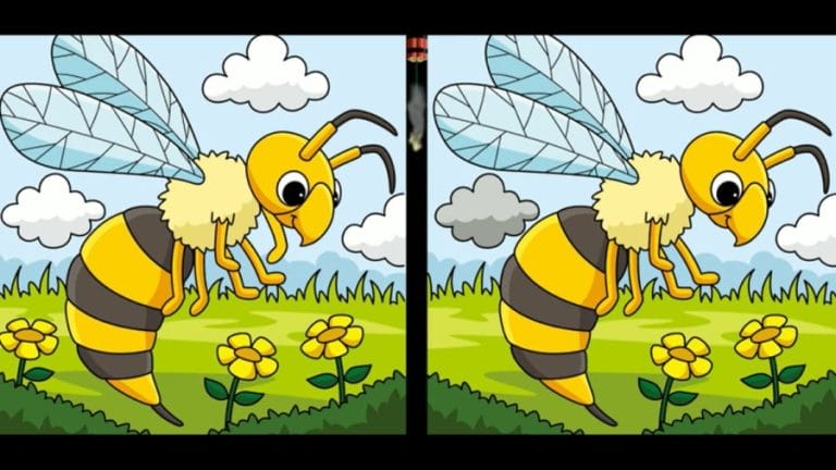 Brain Teaser Spot The Difference Puzzle: Can You find 5 Differences In These Pictures