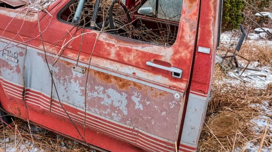 Optical Illusion Challenge: 80% People Fail To Notice The Nest In This Abandoned Car Image At The First Glance