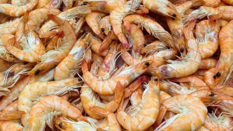 Optical Illusion Challenge: Can you spot the Seashell among the Prawns within 10 seconds?
