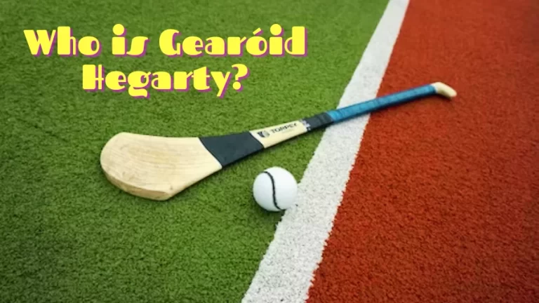 Who is Gearóid Hegarty? Gearóid Hegarty Bio, Playing Career, Statistics, Honours